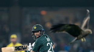 Pakistan inspired by Anwar's Chennai magic at World Cup