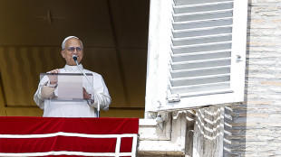 Il Papa, 'Gaza martoriata, non c'&egrave; futuro basato su vendetta'