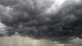 Dans les Landes et le Gers, une partie du vignoble d'Armagnac "hach&eacute;e par la gr&ecirc;le"