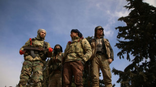 Diez muertos en Siria en el ataque rebelde m&aacute;s mort&iacute;fero desde la tregua de 2020