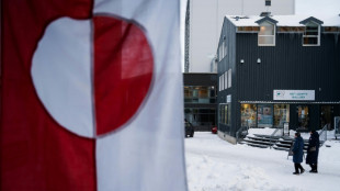 Denmark, Greenland wrap up crunch White House talks
