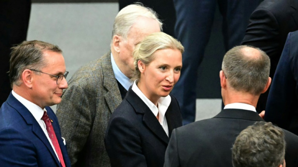 Alemania suspende temporalmente la clasificación del AfD como partido "extremista"