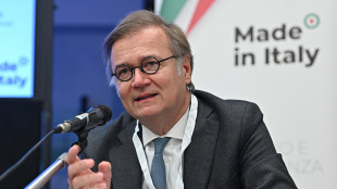 Imprese delle rinnovabili preoccupate per le 'aree idonee'