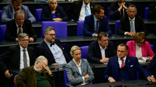 Bundestag: Politiker von CDU und SPD gegen Wahl von AfD in Geheimdienst-Gremium