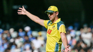 Australia's Hazlewood gets all-clear after Ashes scare but Abbott ruled out