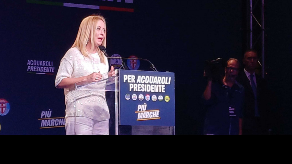 Meloni, c'&egrave; chi fa odio per business