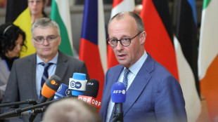 Merz lobt nach Gr&ouml;nland-Einigung europ&auml;ische "Geschlossenheit" 