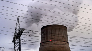 Umfrage: Mehrheit der Deutschen für Rückkehr zur Atomkraft