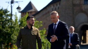 Zelensky mise sur le sommet de l'Otan &agrave; Vilnius
