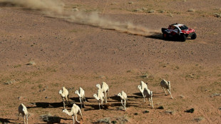 Dakar-2026: Tripl&eacute; Ford sur la 5e &eacute;tape, Lategan reste leader