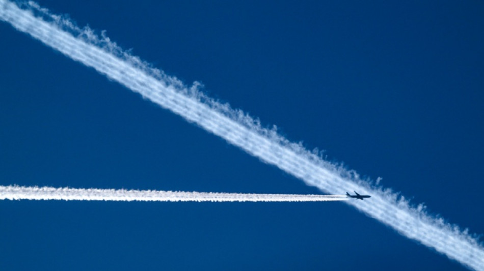 Airlines erwarten im kommenden Jahr Rekordzahl an Flugg&auml;sten