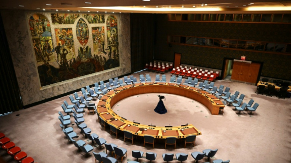 Ha&iuml;ti: le Conseil de s&eacute;curit&eacute; de l'ONU se prononce sur la cr&eacute;ation d'une force plus robuste