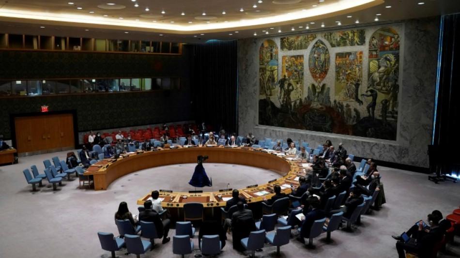 Somalie: le Conseil de s&eacute;curit&eacute; de l'ONU cr&eacute;e une nouvelle force de paix contre les shebab
