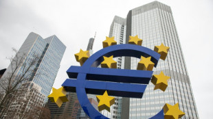 El BCE ampl&iacute;a el acceso al euro a bancos centrales de Europa del Este por la guerra en Ucrania