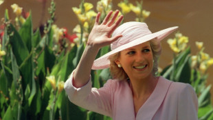 Novo livro narra a vida da princesa Diana pelo olhar do irm&atilde;o