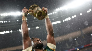 Springboks fall back on old recipe for World Cup success