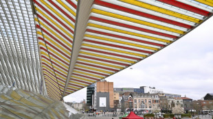 Streiks gegen Rentenreform stören Luftverkehr in Belgien