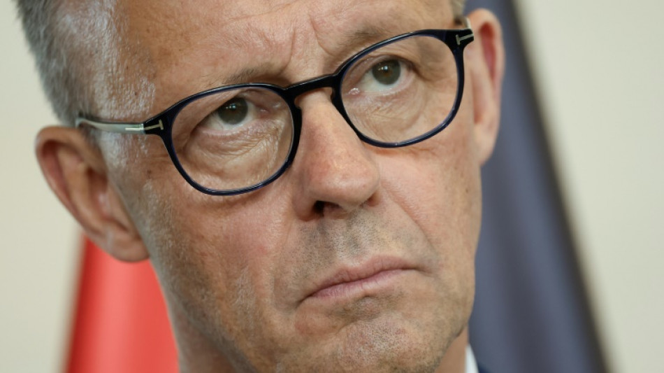 Merz: AfD-Verbotsverfahren "riecht nach politischer Konkurrentenbeseitigung"