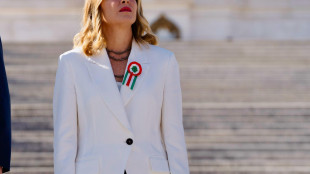 Meloni, 'vogliamo criminalizzare chi delinque,lo confermo'