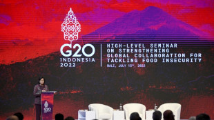 Los pa&iacute;ses occidentales condenan la guerra de Rusia contra Ucrania en la reuni&oacute;n del G20 en Indonesia