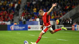 Wales in 'good spirits', Anscombe and Williams recovering well