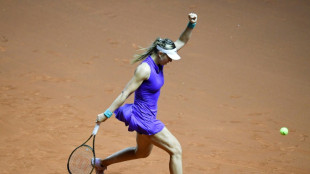 Badosa reaches Stuttgart semi-finals and takes world number two ranking