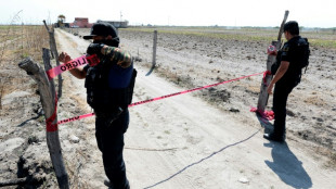 Cr&eacute;matoires pr&eacute;sum&eacute;s au Mexique: nouveaux ossements, l'Etat f&eacute;d&eacute;ral s'empare de l'enqu&ecirc;te