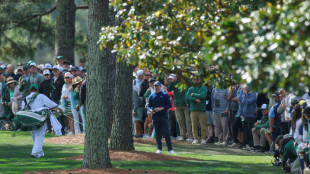 'Scrappy' McIlroy leans on experience for share of Masters lead