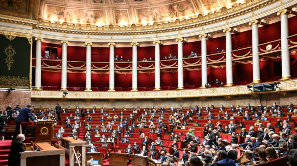 Le Parlement adopte un statut unique des travailleurs ind&eacute;pendants