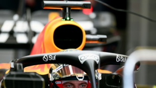 Verstappen rules again with 'double top' in practice