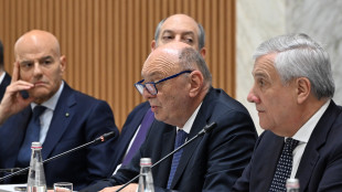 Pichetto, 'la nostra battaglia &egrave; a buon punto, no a solo auto elettriche'