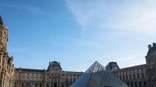 Louvre, 9 arresti e 10 milioni di danni per una maxi-frode sui biglietti