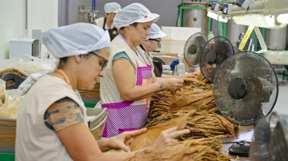 Cuba autoriza por primera vez empresas mixtas entre el Estado y el sector privado