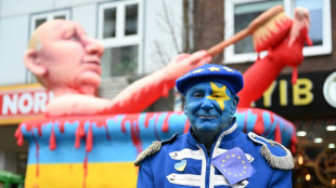 Russian court convicts German carnival float artist: reports