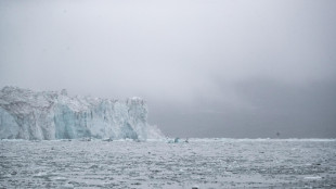 Scoperta una sorgente di metano sul fondale dell'oceano Artico
