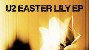 Gli U2 pubblicano a sopresa un nuovo ep di 6 tracce Easter Lily
