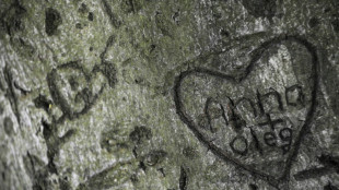 Studie: Jugendliche warten l&auml;nger mit erstem Sex