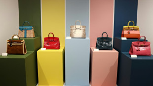 Demandan a Herm&egrave;s por obstaculizar compra de carteras Birkin