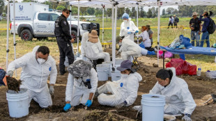 ONG que buscan desaparecidos hallan m&aacute;s de un millar de fragmentos oseos en Ciudad de M&eacute;xico