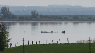 Gestrandeter Wal: Rettungsaktion wird fortgesetzt - Initiator hoffnungsvoll