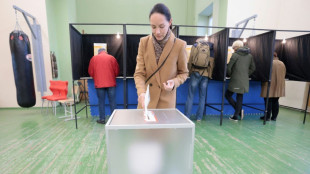 La Lituanie aux urnes pour le second tour des l&eacute;gislatives 