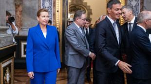 Mehr als 40 L&auml;nder Europas treffen sich zu Gipfel in Kopenhagen