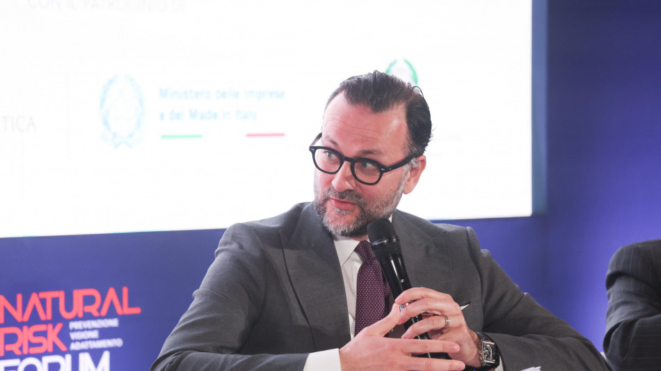 Bianchi (Confindustria), nel Mercosur 'potenziale enorme per le pmi italiane'