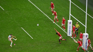 Boffelli boots Argentina past Wales into World Cup semis