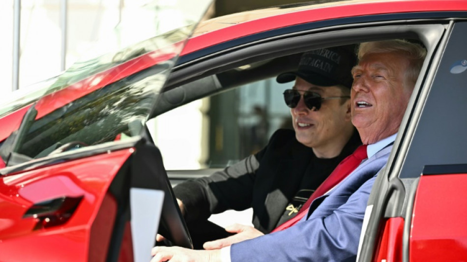 Musk to reduce White House role as Tesla profits plunge