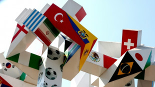 Iran 'negotiating' with FIFA over moving World Cup games to Mexico: embassy