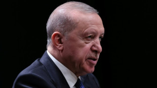 Kreise: T&uuml;rkei will mit Pakistan und Saudi-Arabien Verteidigungspakt schlie&szlig;en