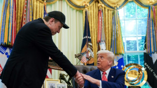 Lobeshymne und ein Veilchen am Auge: Trump verabschiedet seinen Berater Musk 