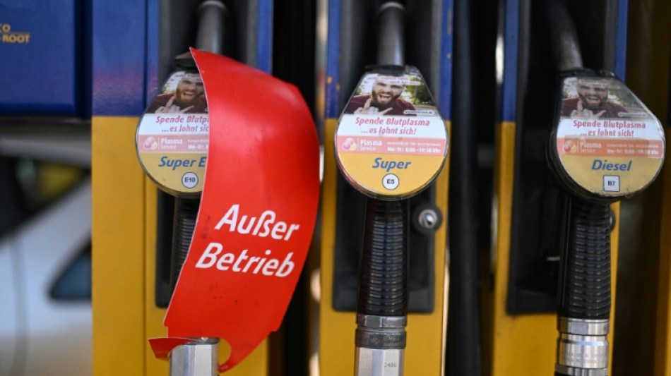 Alemania recurre al carb&oacute;n ante la disminuci&oacute;n del gas ruso