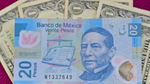 Clima pol&iacute;tico estable y tasa atractiva impulsan al peso mexicano sobre pares de Am&eacute;rica Latina